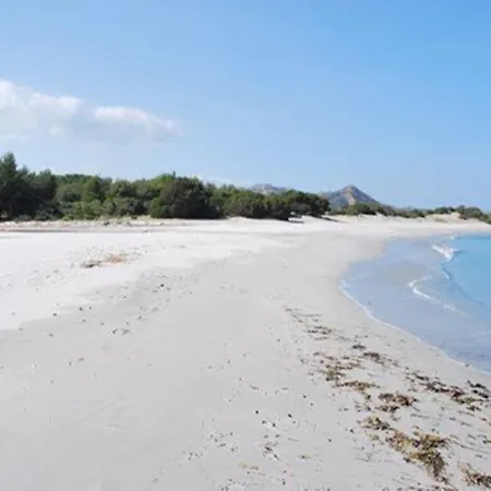 Il Paradiso Degli Ulivi B *
