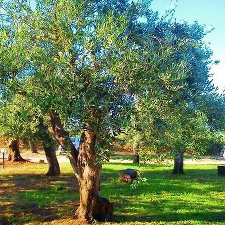 Il Paradiso Degli Ulivi B Σπίτι διακοπών