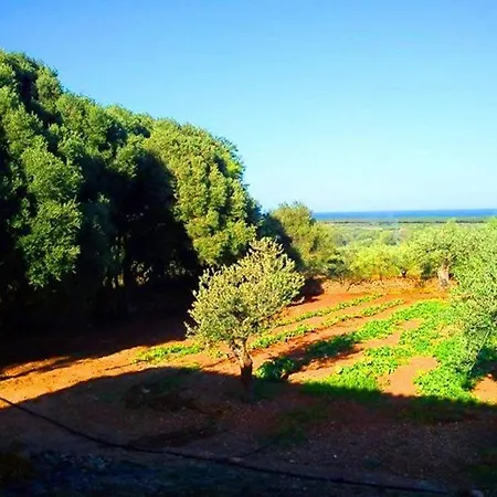 Il Paradiso Degli Ulivi B Σπίτι διακοπών