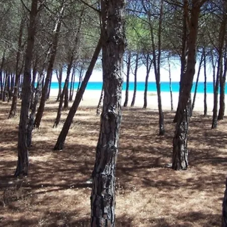 Σπίτι διακοπών Il Paradiso Degli Ulivi B *