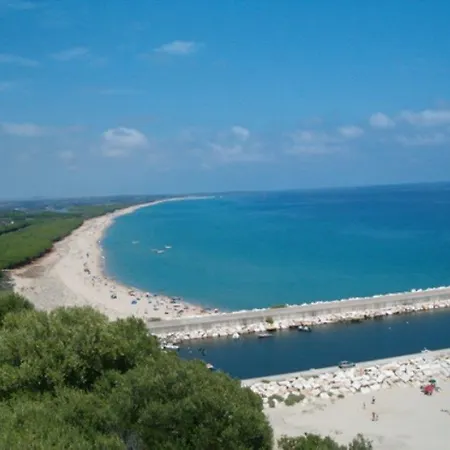 Il Paradiso Degli Ulivi B