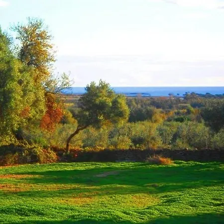 Il Paradiso Degli Ulivi B