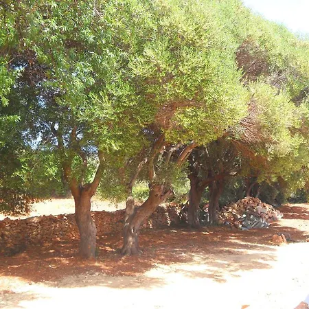 Il Paradiso Degli Ulivi B